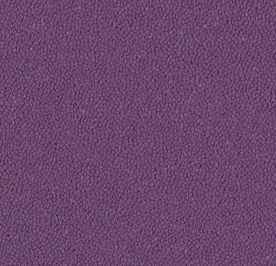 9419 violet